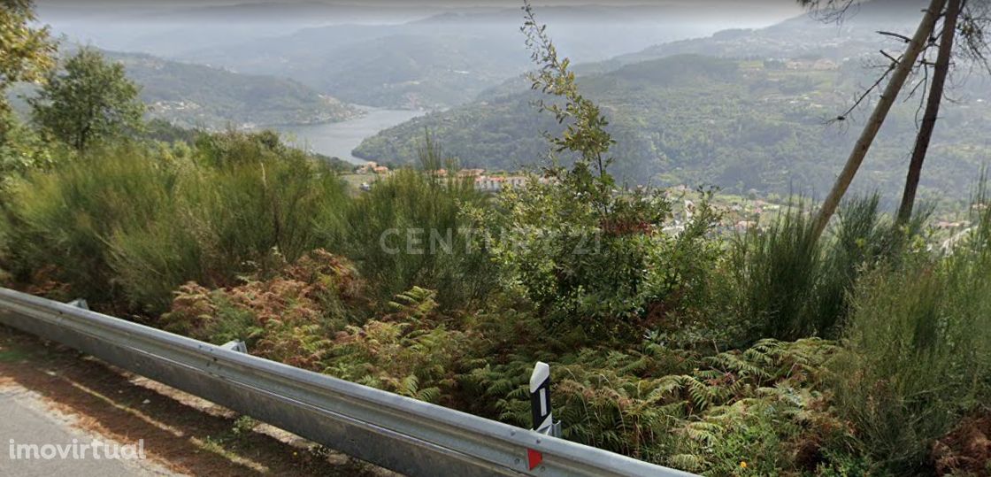 Terrenos Rústicos com vistas para o Rio Douro