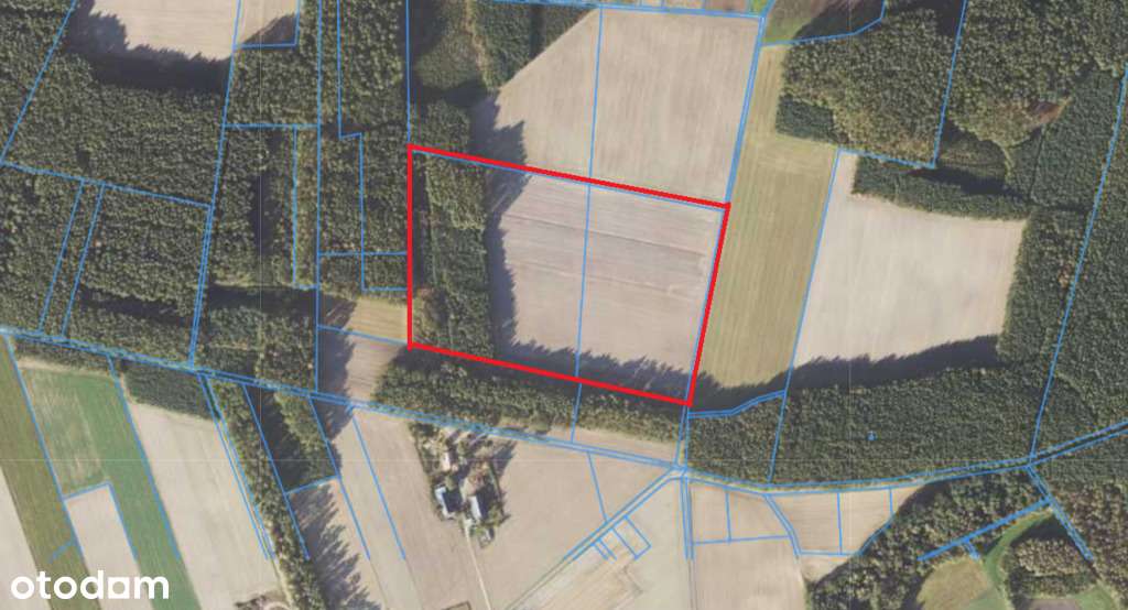 Idealna inwestycja - 60 działek budowlanych! - Pełny obrazek: 2/9