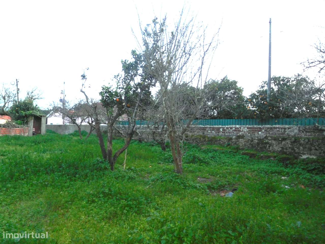 Quinta com Moradia T5 / Restaurar / Carvide / Leiria-16