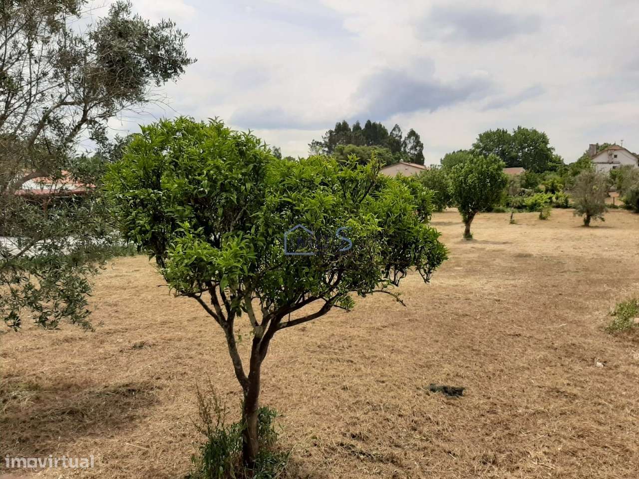 Terreno para construção na Vila de Ferreira do Zêzere-16