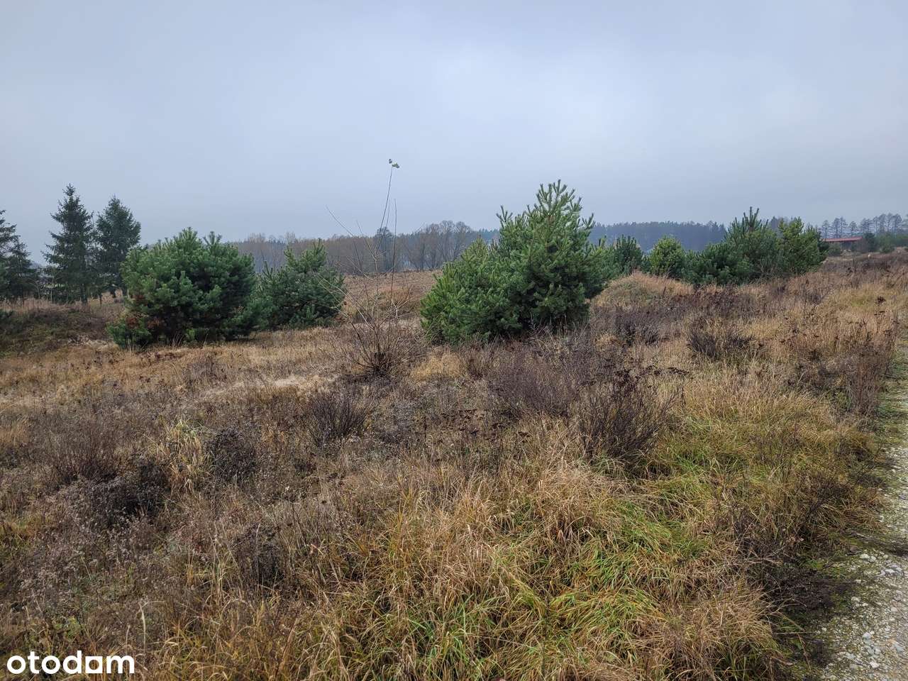 GOŁĄBKI na sprzeedaż działka budowlana 950m2-9