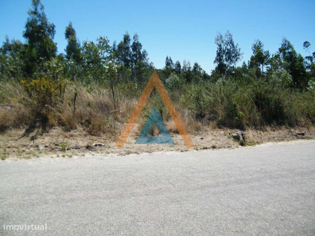 Terreno com imenso potencial - Grande imagem: 4/4