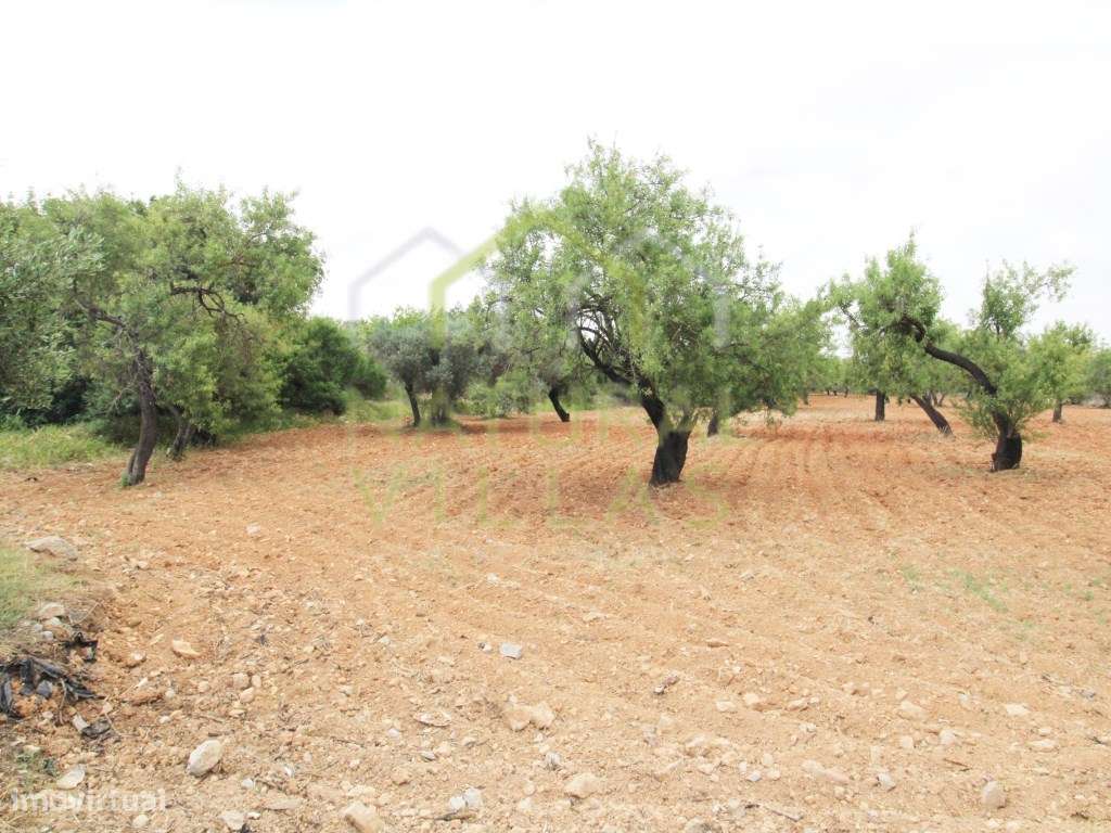 Terreno Urbano para construção em Estoi - Grande imagem: 2/3