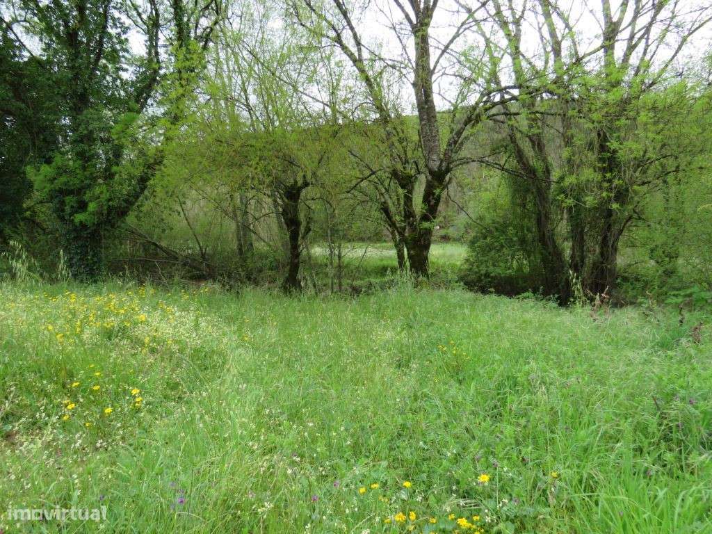 0003 - Grande imagem: 3/7