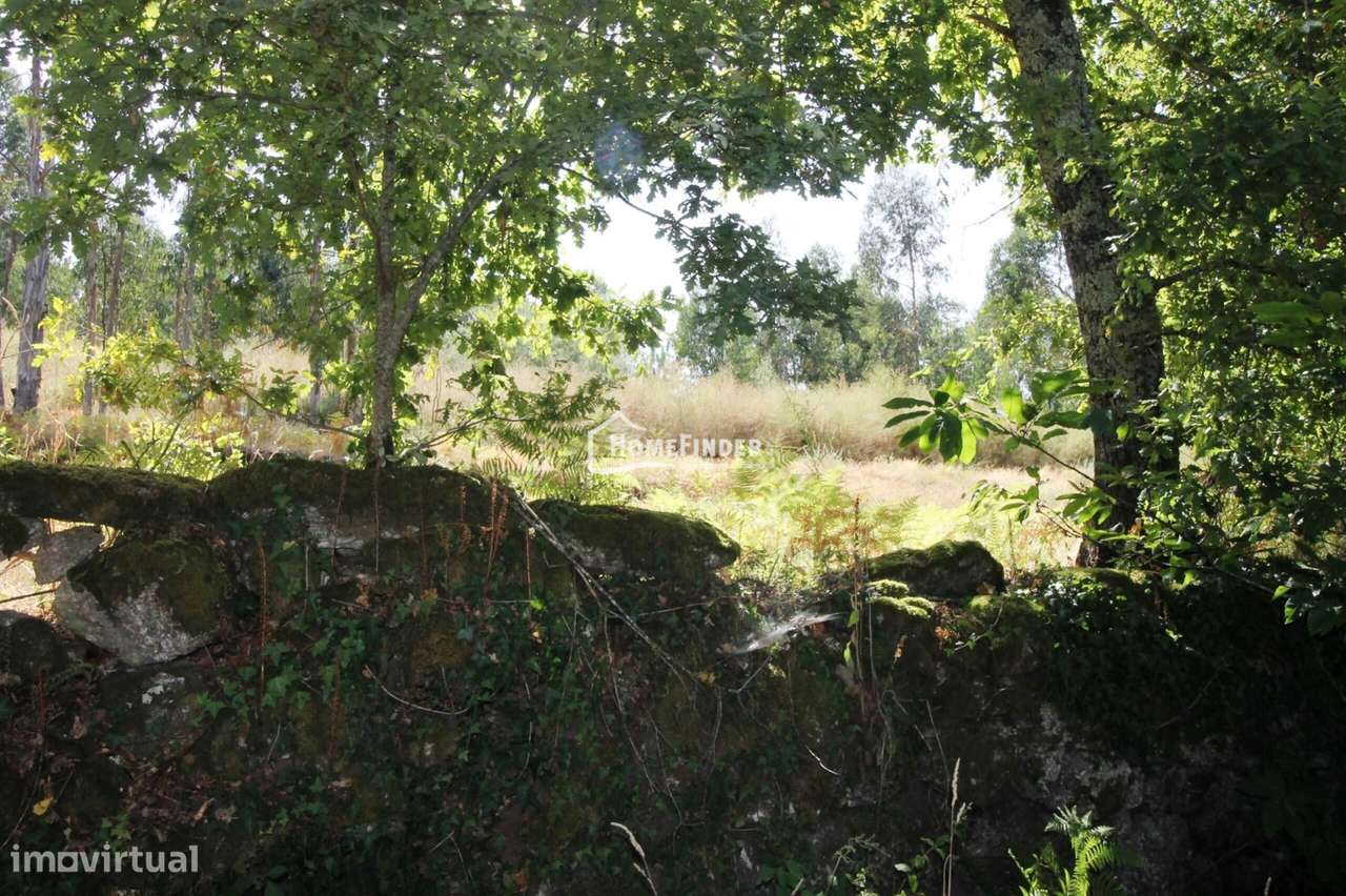 Moradia para Recuperar com Amplo Terreno e Potencial Infinito em Frian-21