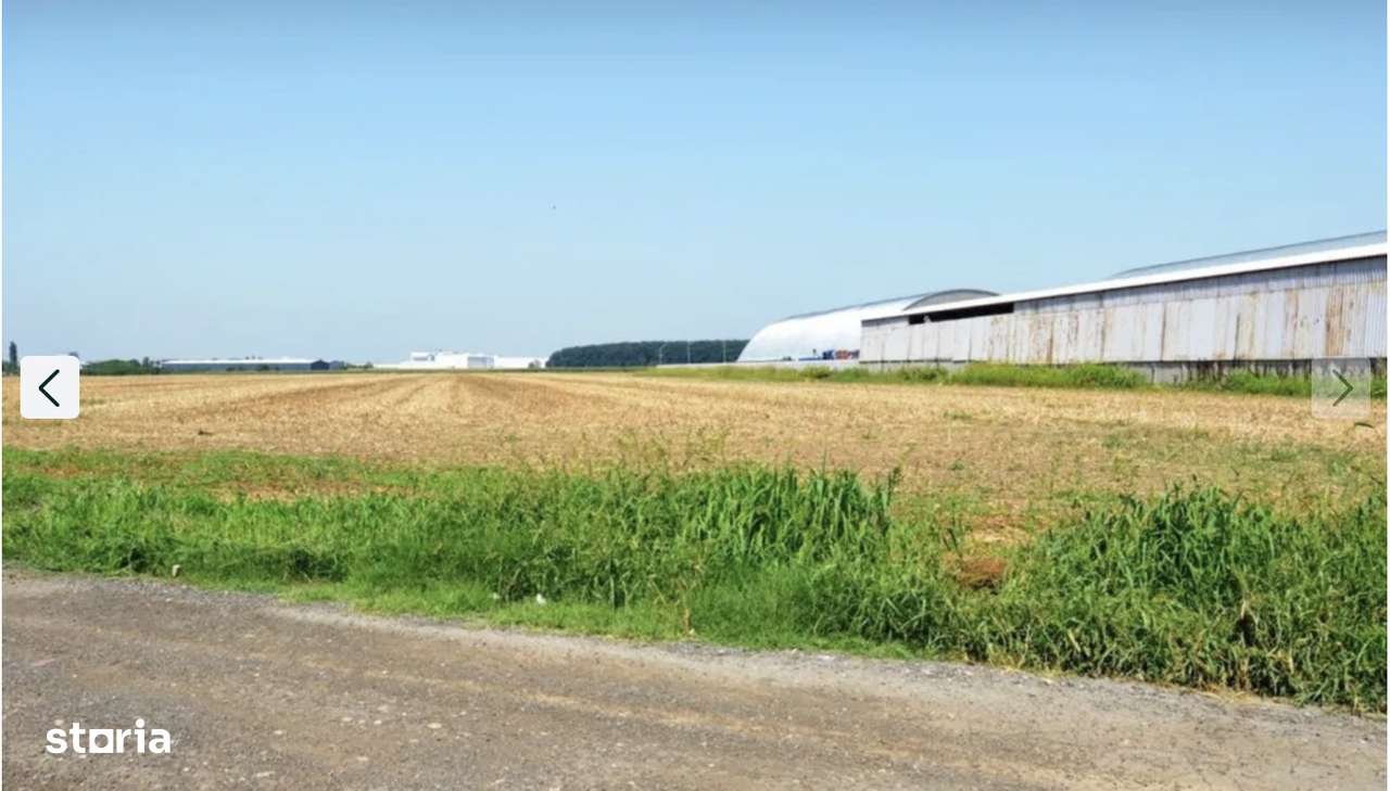 Teren 16.87omp Afumati Ganeasa - curent, utilitati, acces strada - Imagine principală: 4/5