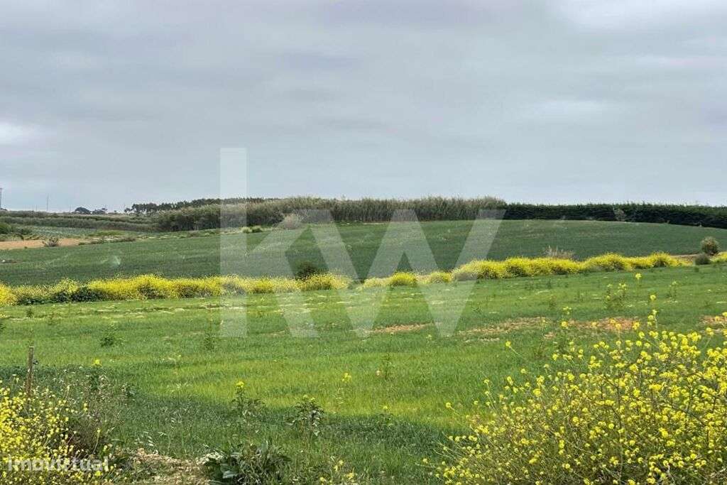 Terreno Agrícola em Peniche com mais de 5ha - Atouguia da Baleia - Grande imagem: 4/14
