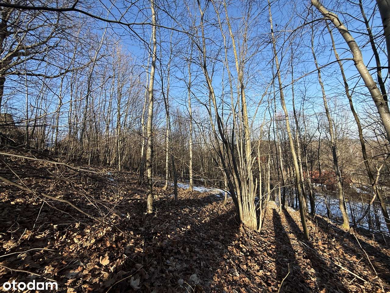 Działki w Przesiece-7