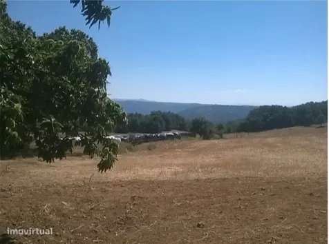 Terreno, Bragança, Vinhais - Grande imagem: 4/5