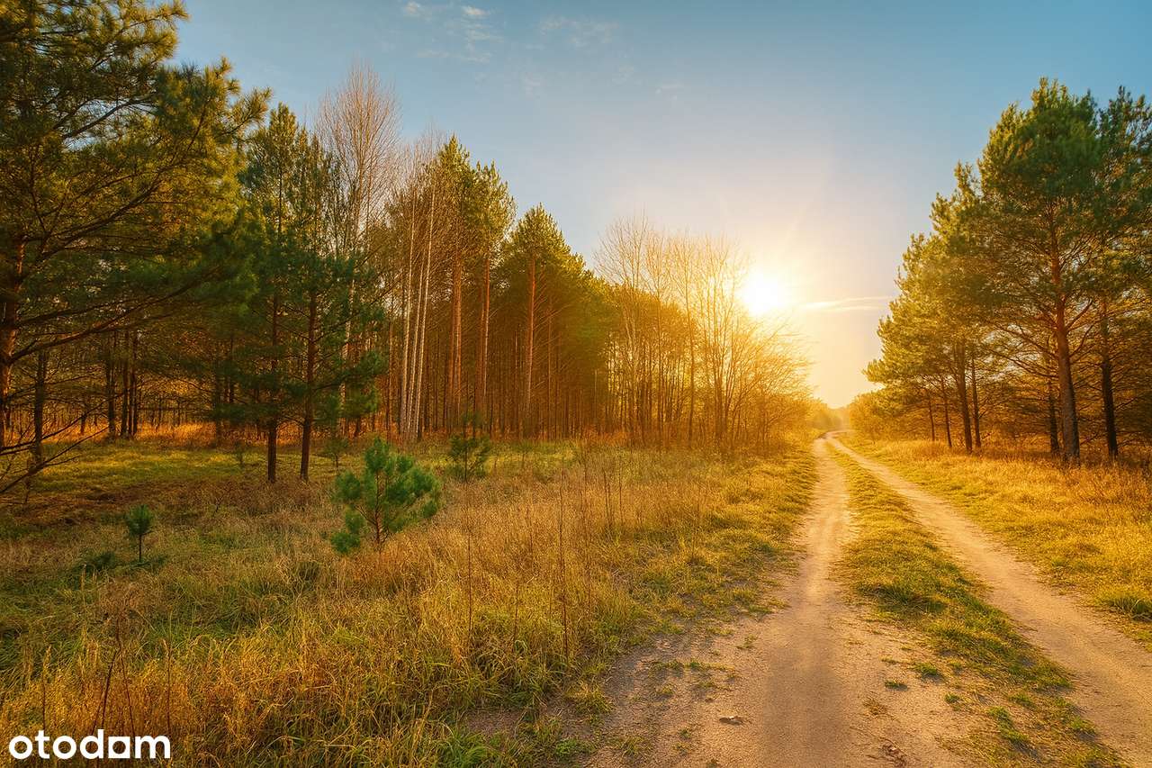 Działka przy Jeziorze Logo I Straduń I gm. Trzcianka-4