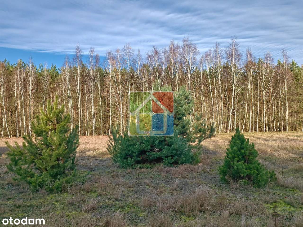 Duża działka 3002 m² przy lesie, 100 m od rzeczki-2