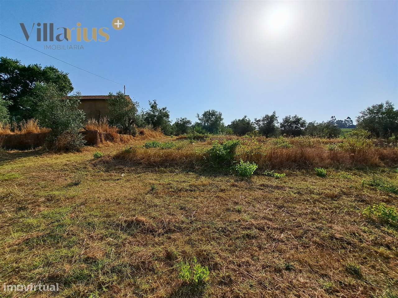 Terreno 11.513 m² com Projeto Aprovado — Tomar-19