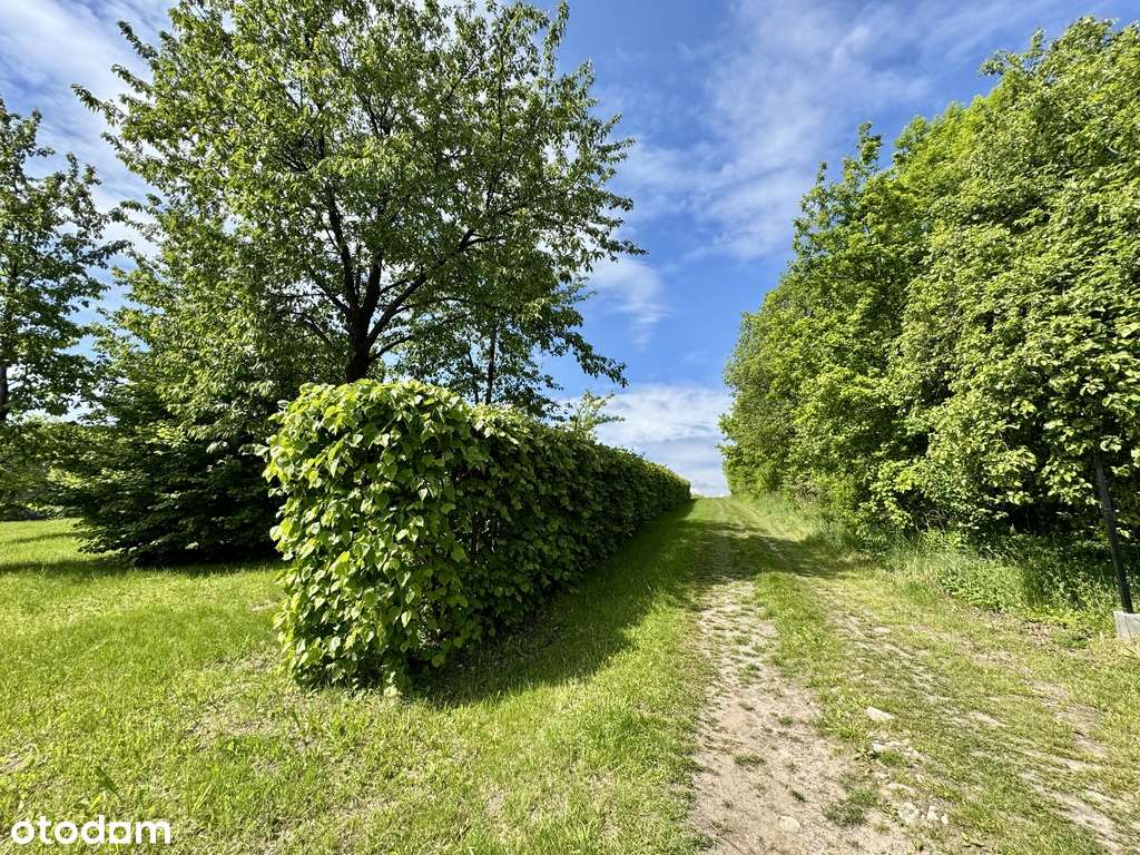 Z widokiem na wschód słońca, 350 m szkoła - Pełny obrazek: 4/7