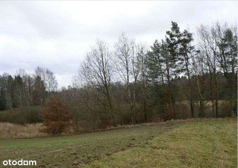 Świdwin . Działka 3100 m2 . Las . Jezioro . Morze.-9