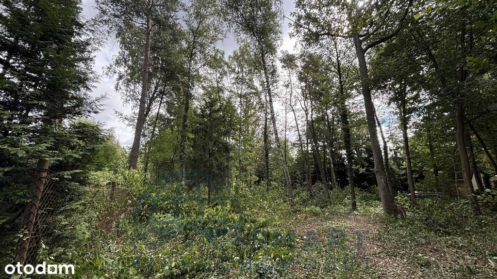 Idealna działka pod dom. - Pełny obrazek: 4/13