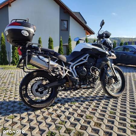 Triumph Tiger - 6