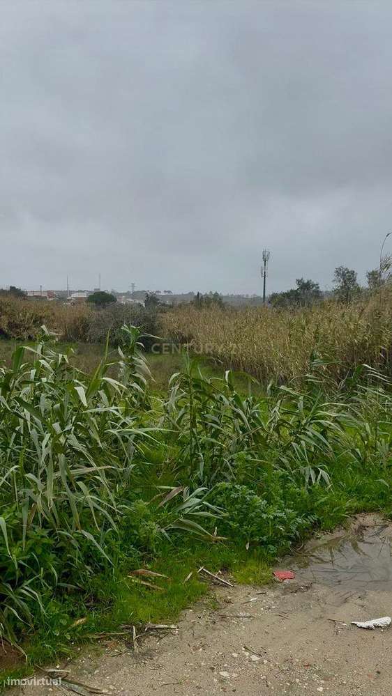 Lote de Terreno Urbano com 3655 m2 - Grande imagem: 2/4