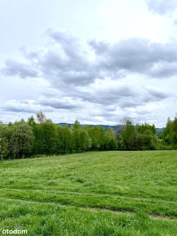 Atrakcyjna działka rolna - Gilowice k. Żywca-5