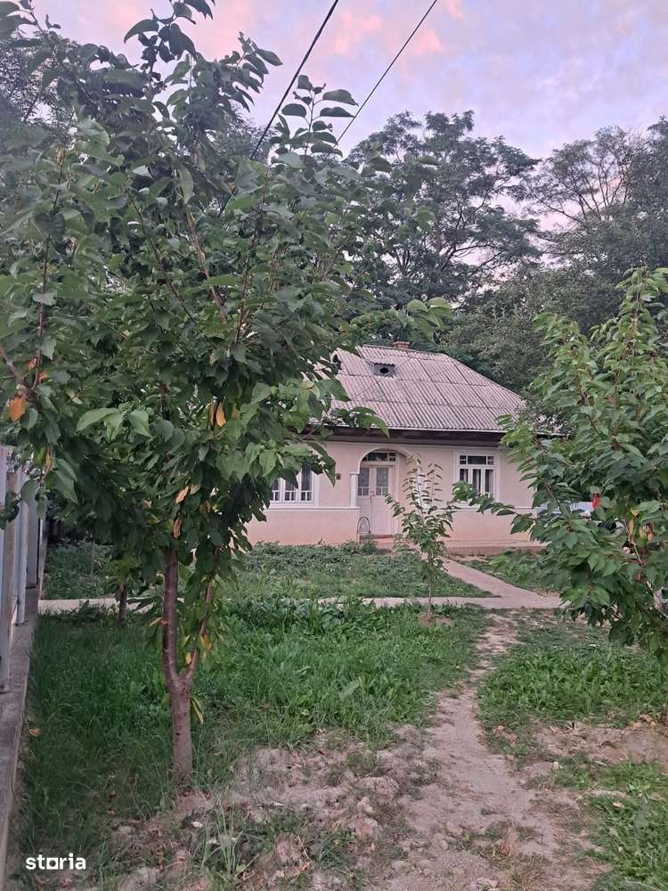 De vanzare casa batraneasca, suprafata Teren 3600 mp, 25.500 euro - Imagine principală: 2/7