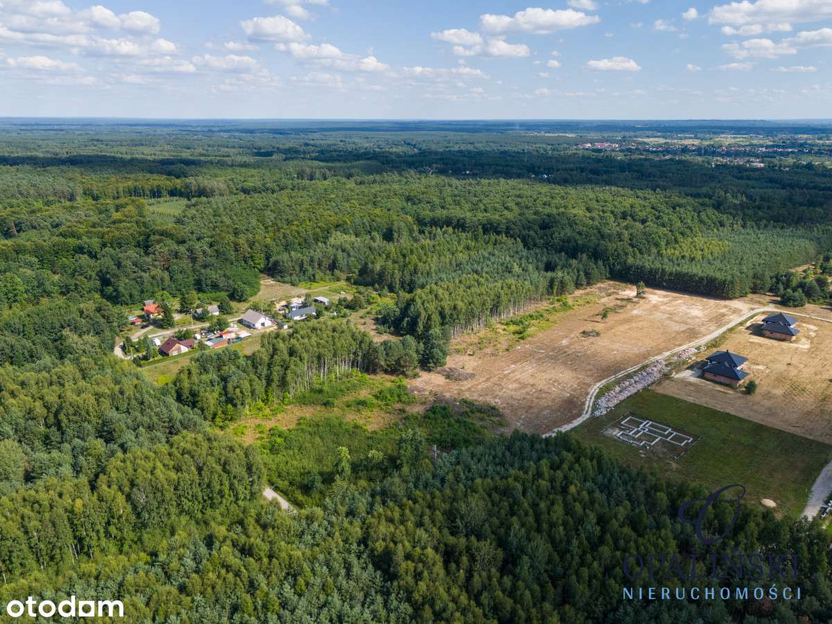Otoczenie lasu | Cicha okolica | Mpzp | Inwestycja-5