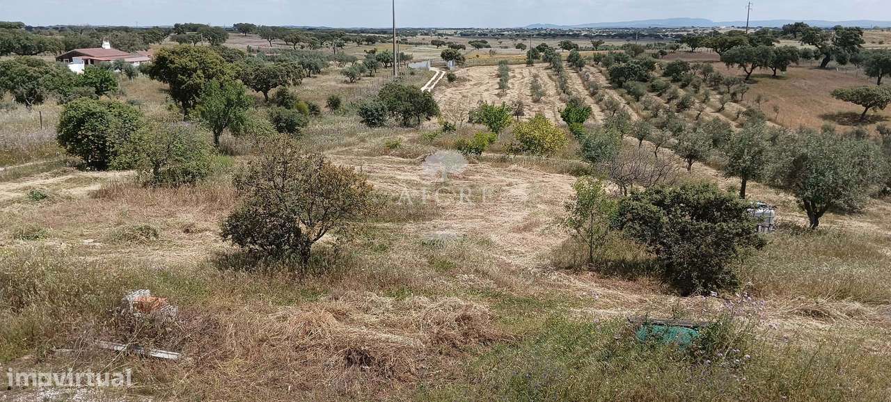 Quinta com 6,9 ha com habitação - Grande imagem: 5/25