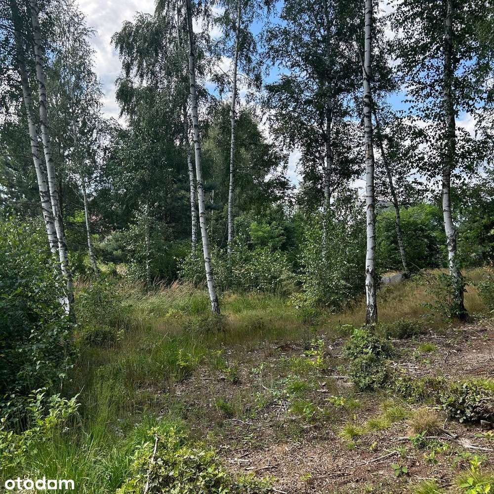 Działka budowlana pod lasem-6