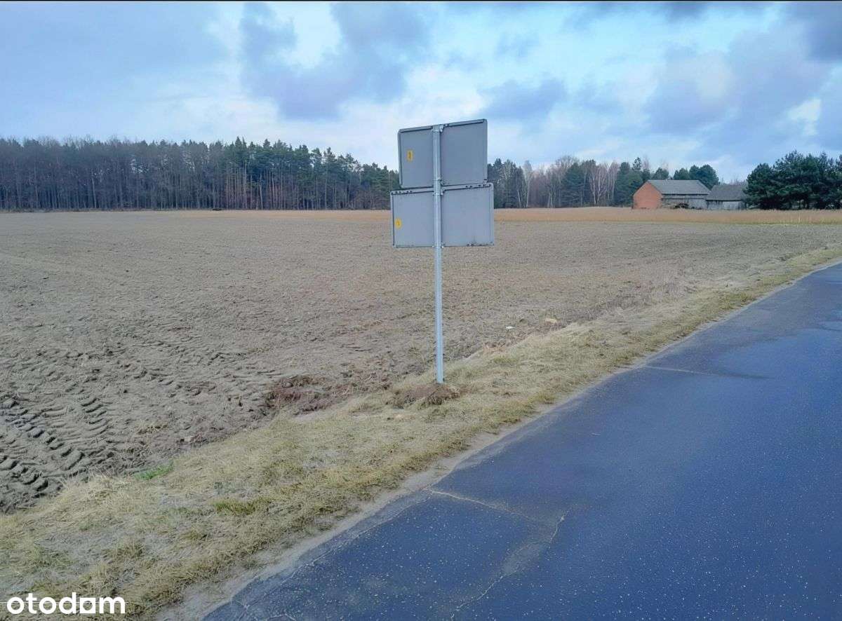 Działka inwestycyjna|dom|magazyn|Żarnów - Pełny obrazek: 4/11