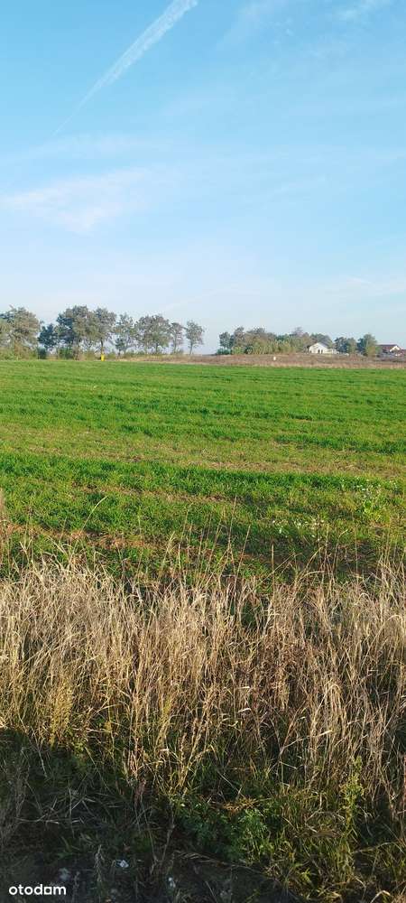 Lulkowo działka budowlana 1500m2 -media, asfalt, szkoła, blisko S5 - Pełny obrazek: 4/7