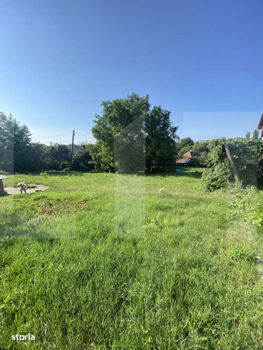 Teren intravilan de vanzare, 821 mp, Strada Borviz - Imagine principală: 2/2