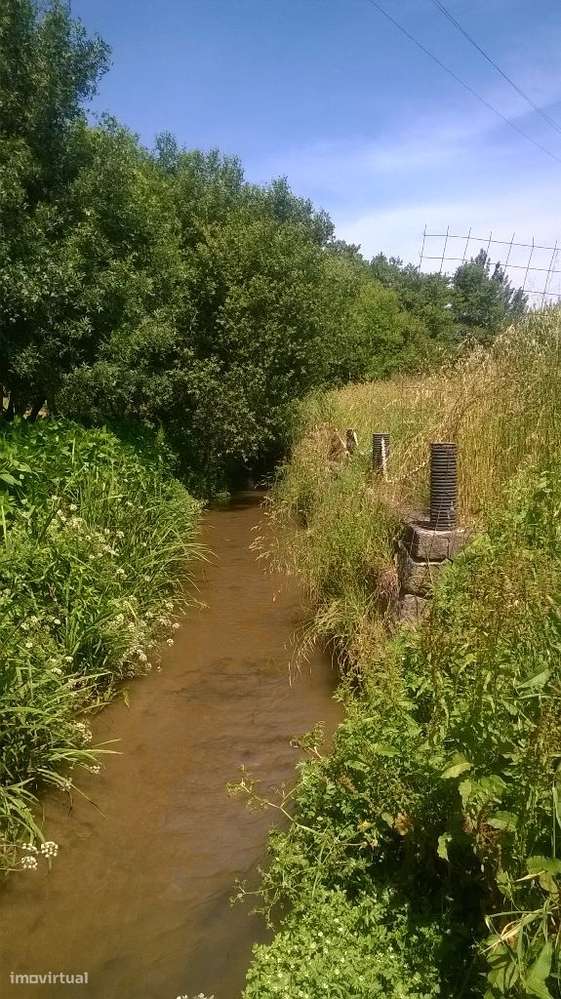 Terreno Misto com 7.350m2 - Grande imagem: 5/16