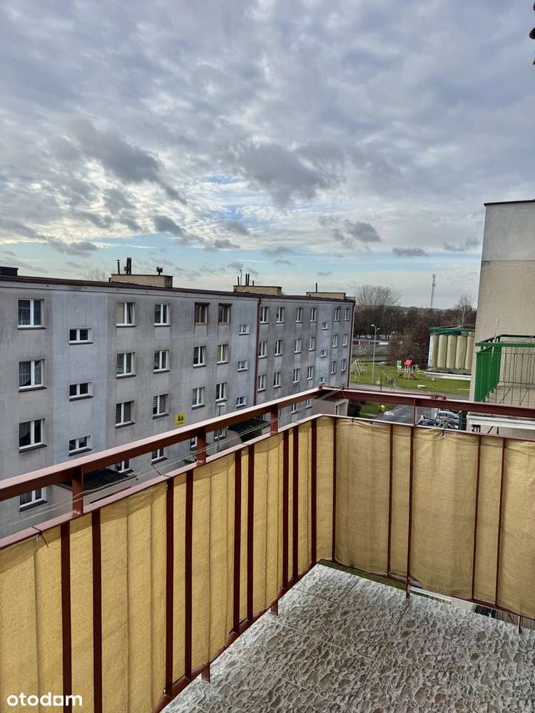 Środa Wielkopolska, ul. Rejtana, 2 pokoje, 48 m2 - Pełny obrazek: 4/12