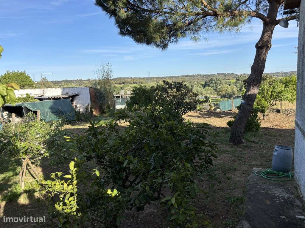 Vendese Quinta com Casa T4, Adega, Lagar e Terreno com Árvores de F...-32