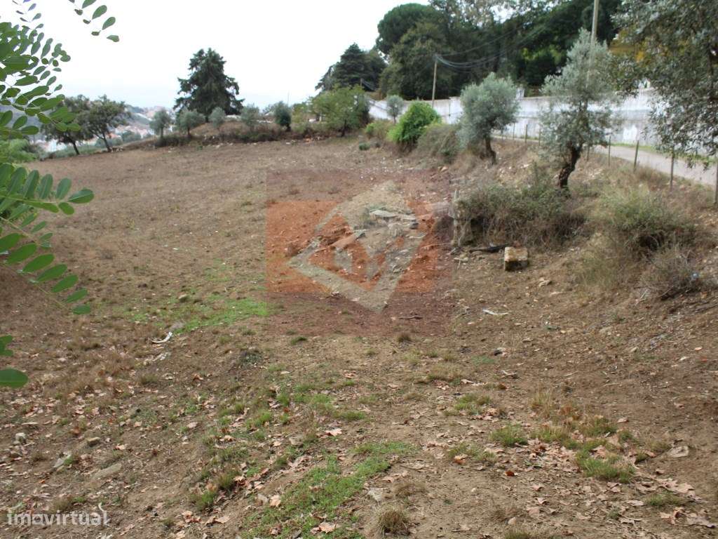 Terreno Rústico em Caneças-13