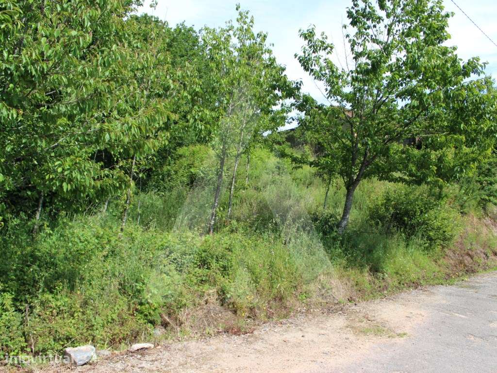 Terreno rústico com possibilidade de construção - Grande imagem: 3/21