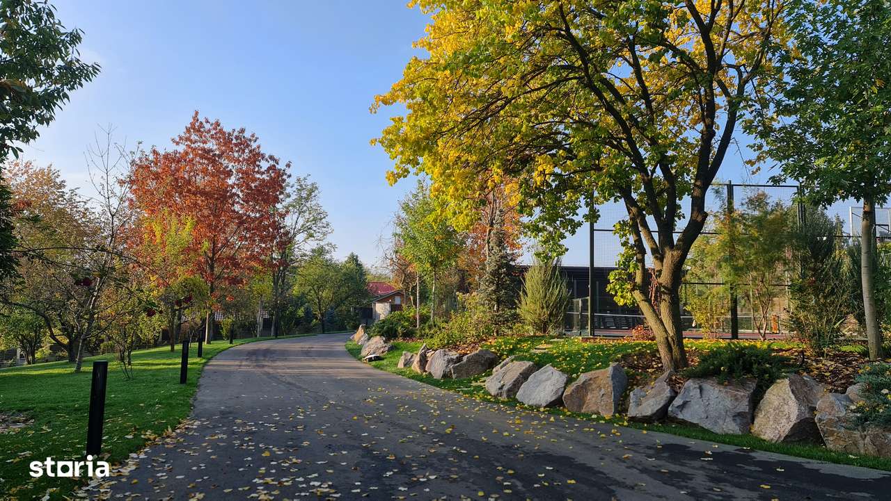 Proprietate 7000 mp cu 2 case + anexe, 160m deschidere la Lacul Snagov - Imagine principală: 4/20