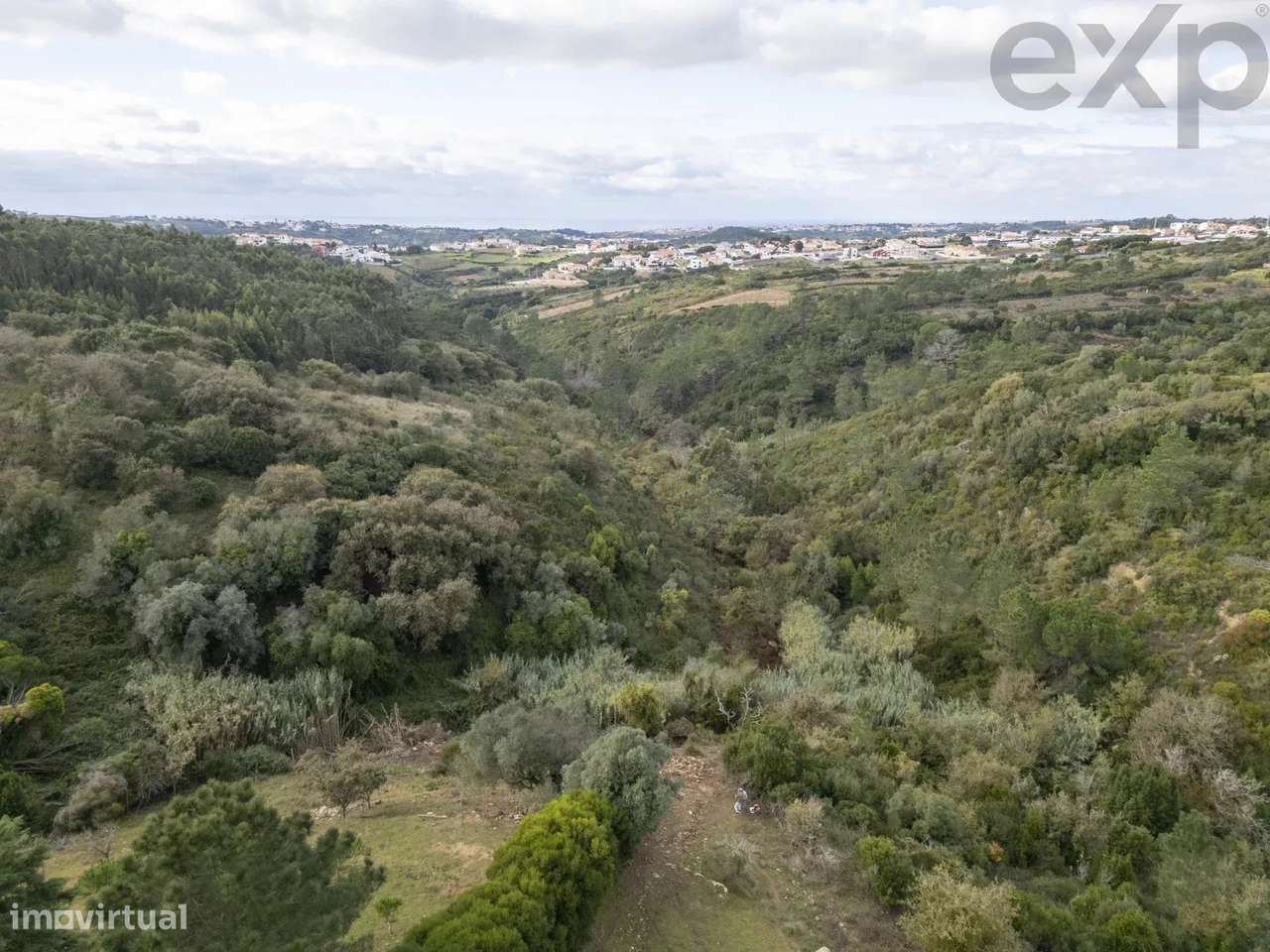 Pomar Novo - Coxo - Grande imagem: 4/7