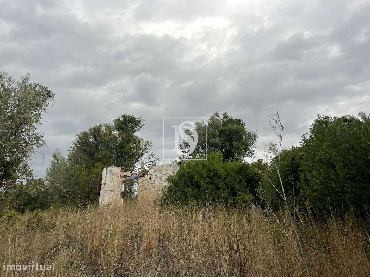 Quintinha em Montargil-13