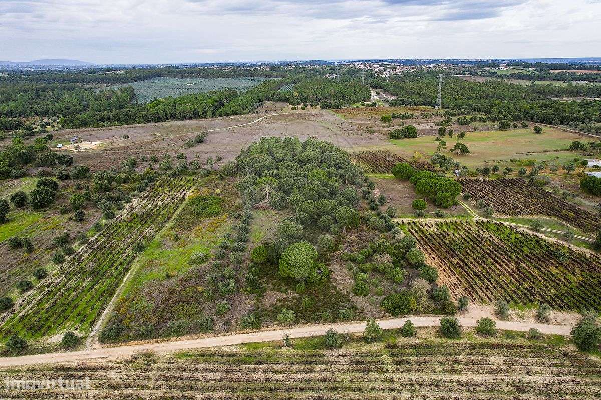 Terreno  para venda - Grande imagem: 2/16