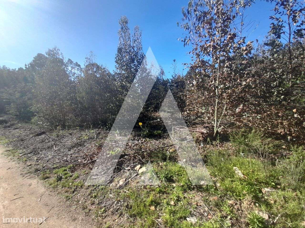 Terreno para construção em Vale Domingos, Águeda - Grande imagem: 4/11