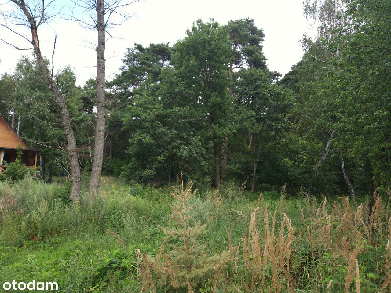 Całoroczna Stodoła na działce nad jeziorem!-11