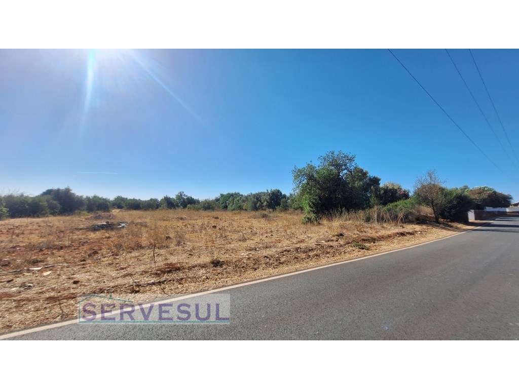 Terreno Rústico com 9.960 m² a apenas 10 minutos da cidade de Silves-3