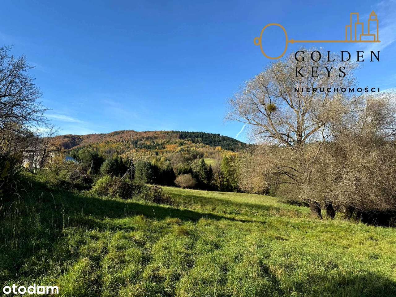 Targanice, Zielona Działka Budowlana - Pełny obrazek: 5/8