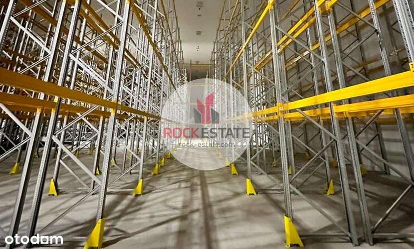 Mroźnia z regałami na wynajem lub sprzedaż 9tys m2 - Pełny obrazek: 5/9