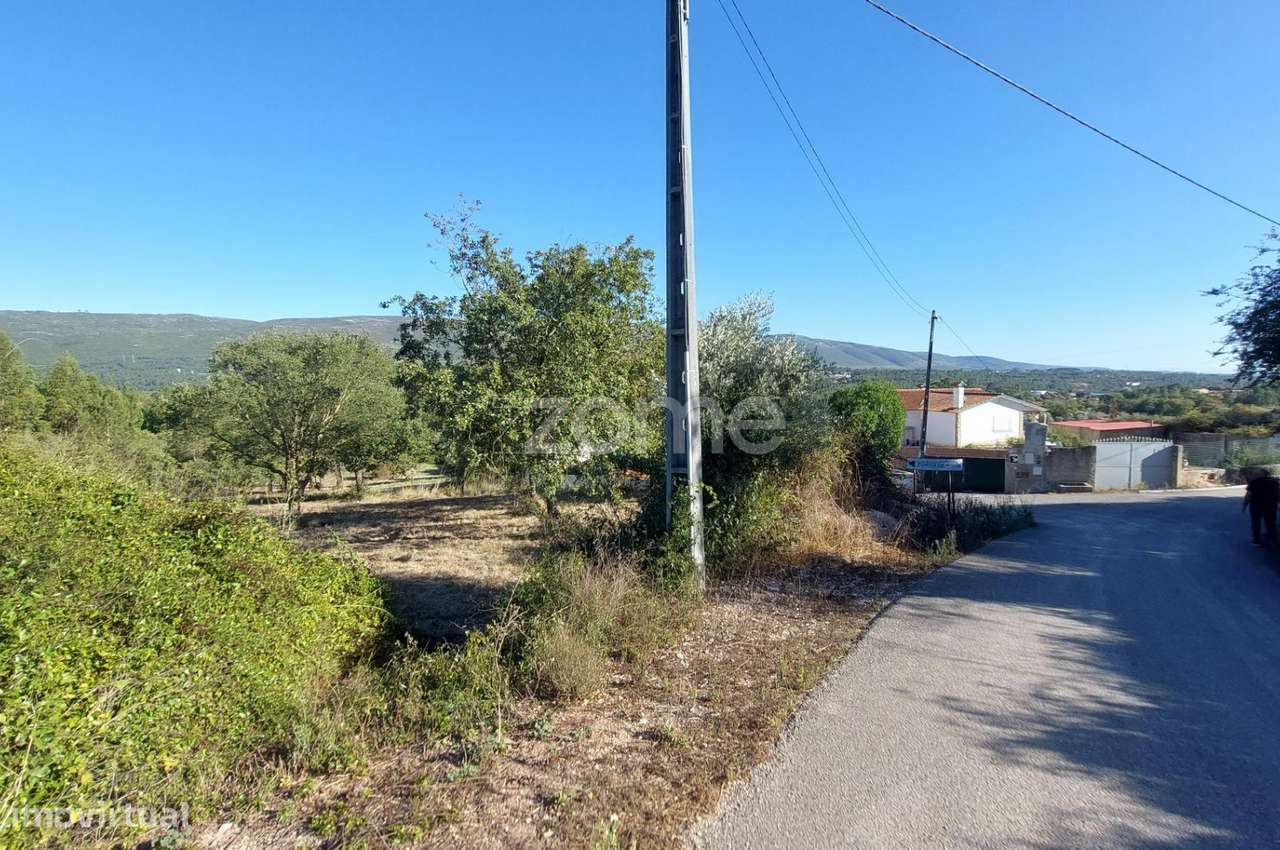 Terreno para construção com 7080 m2 na Cumeira de Cima, Juncal - Grande imagem: 3/26