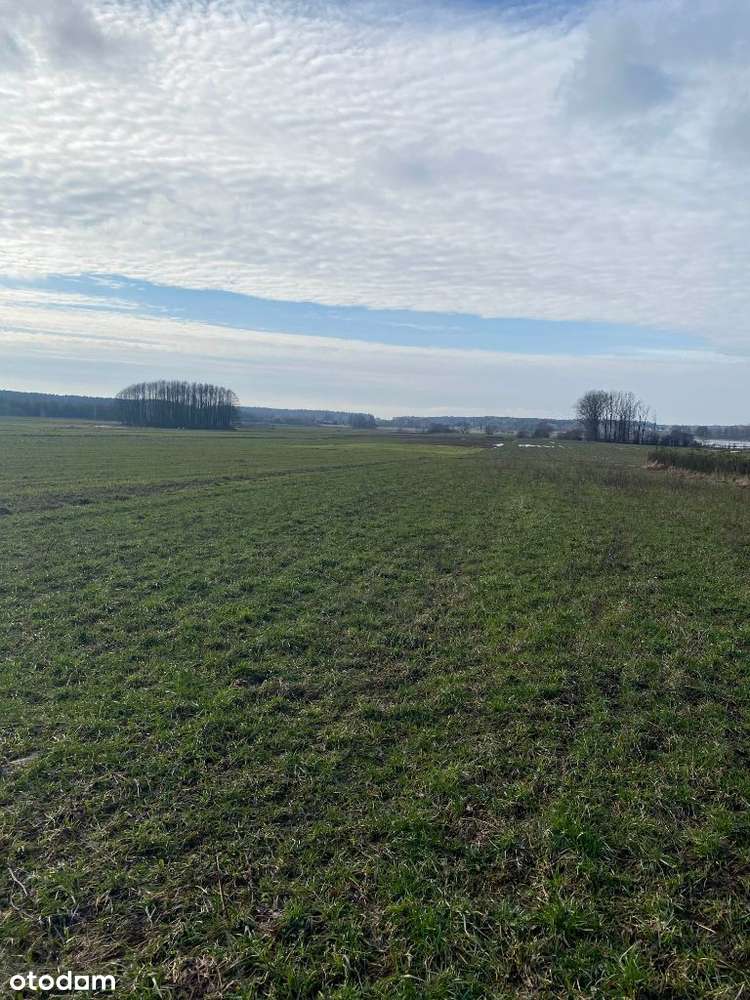 Oliszki, Bezpośrednio, działka budowlana 1540 m2 - Pełny obrazek: 5/8
