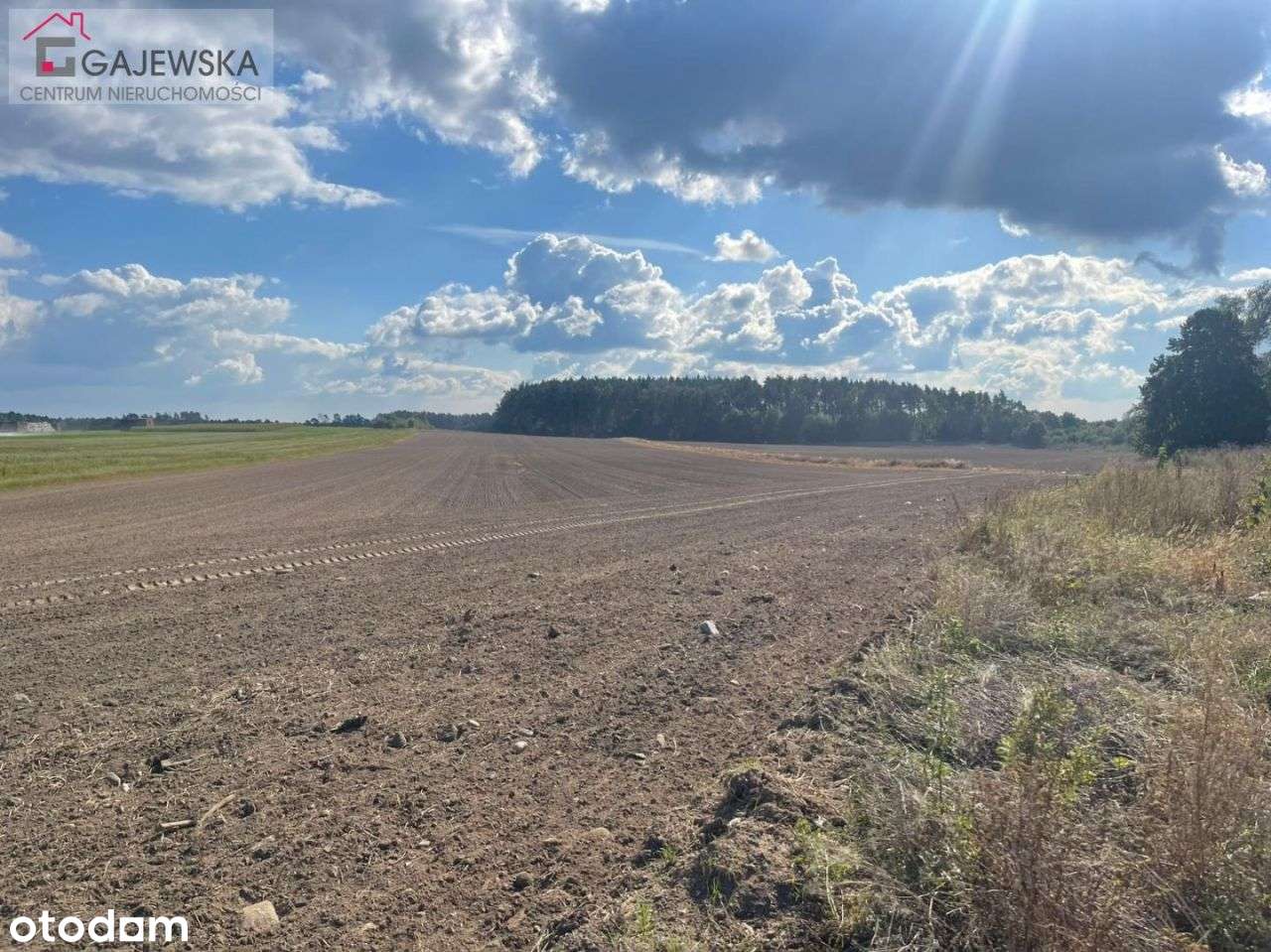 Działka budowlana przy lesie, Szydłowo ul.Ogrodowa-3