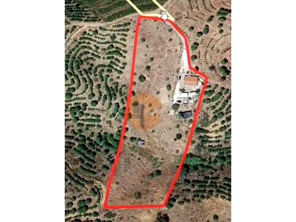 TERRENO COM 11.360 M2 - ALCARIAS GRANDES - AZINHAL - CASTRO MARIM -... - Grande imagem: 5/27