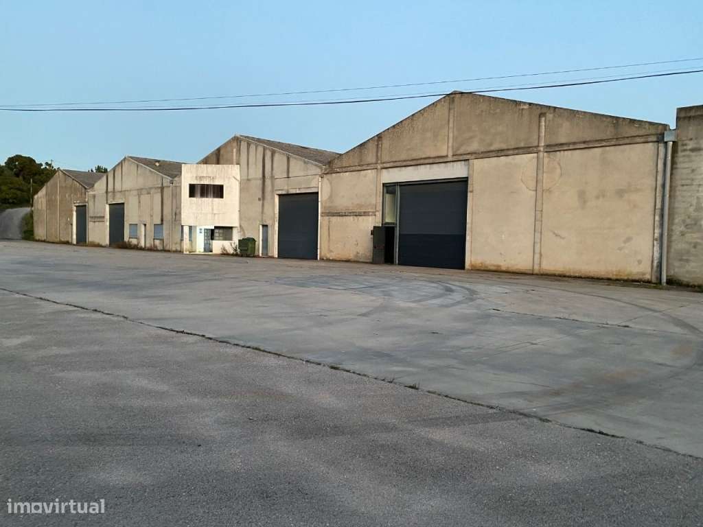 Armazém Alcanena Proximo A1 e A23 - Grande imagem: 2/2