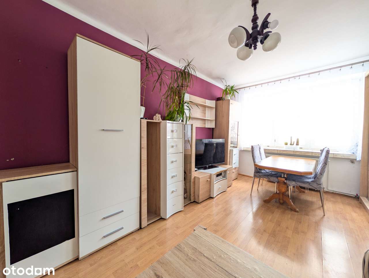 Limanowa, Z. Augusta, 2 pokoje, 3. piętro. Wszędzie pieszo!-7