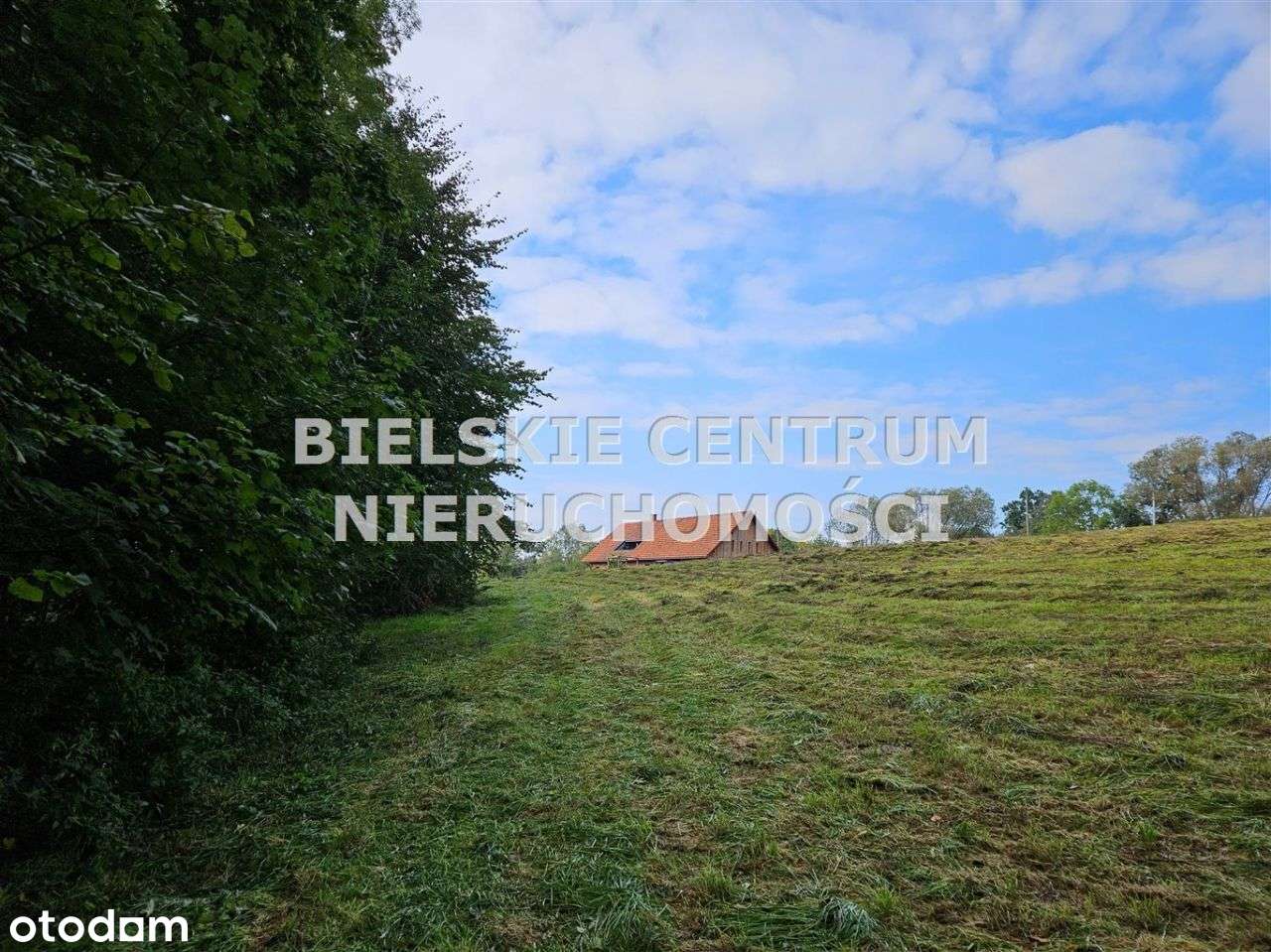 Działka, 13 942 m², Mazańcowice-11